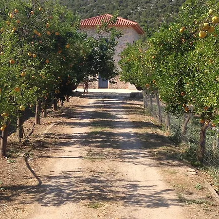 Olivedream Villa *