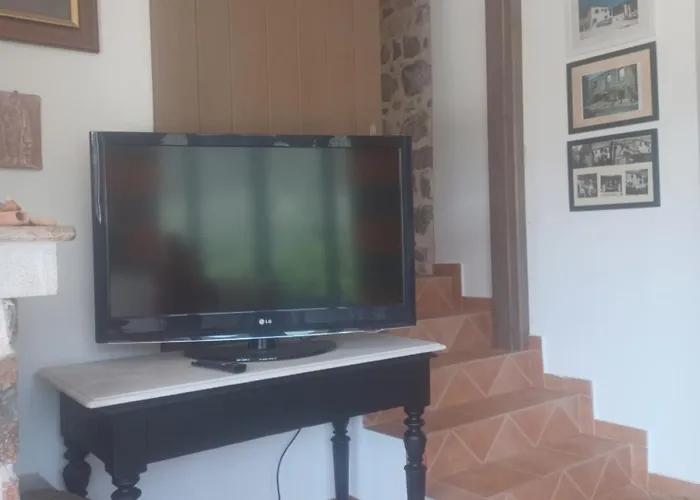 Olivedream * Nea Epidhavros